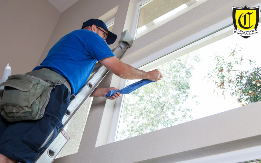 Clear Views, Clean Conscience: Eco-Friendly Window Cleaning Solutions for a Greener Shine