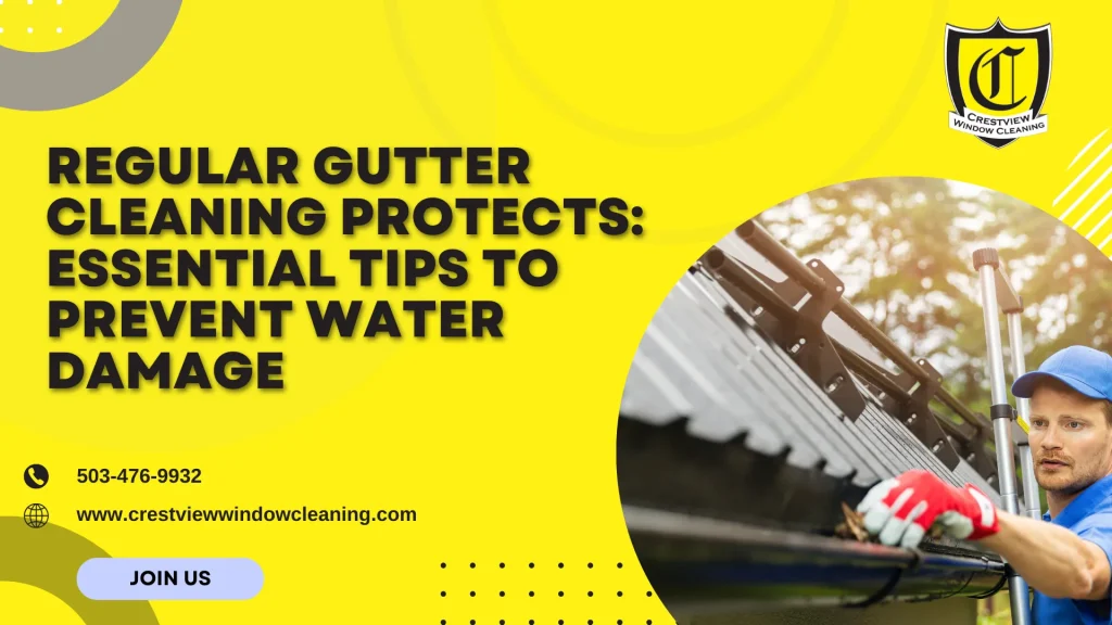 Regular Gutter Cleaning Protects your home as a professional cleaner removes leaves and debris from roof gutters to prevent water damage.