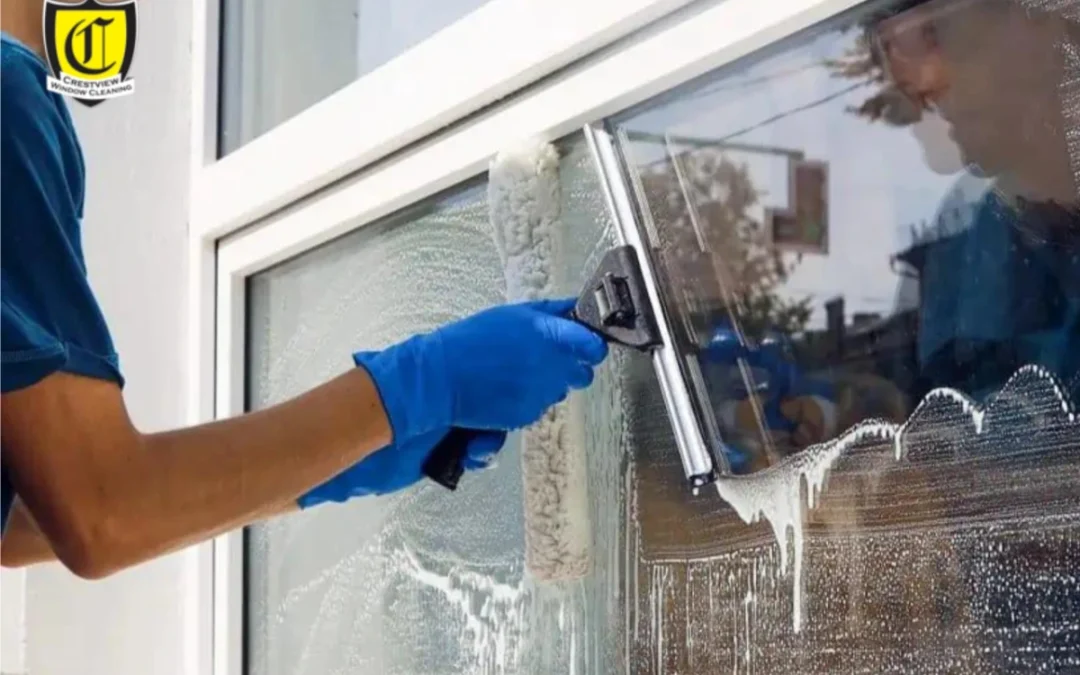 Window Cleaning Near Me: Why Homeowners Choose Professional Services